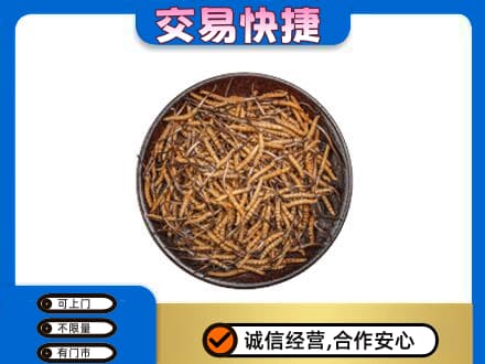 黔南瓮安县高价回收散虫草